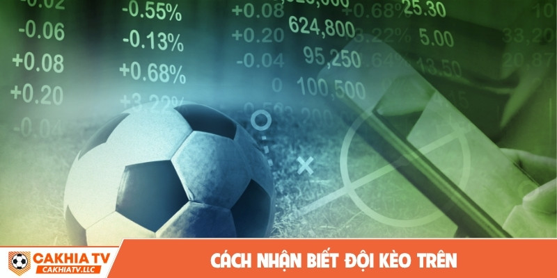 Cách nhận biết đội kèo trên