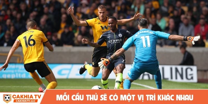 Mỗi cầu thủ sẽ có một vị trí khác nhau cùng 1 đội