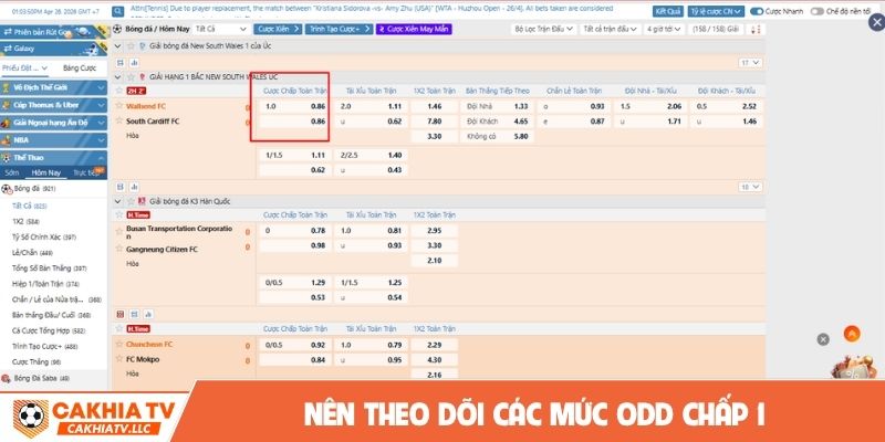 Nên theo dõi các mức odd chấp 1