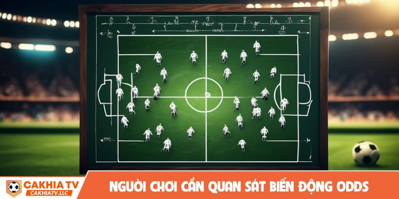 Người chơi cần quan sát biến động odds