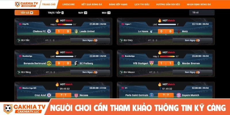 Người chơi cần tham khảo thông tin kỹ càng khi cá cược