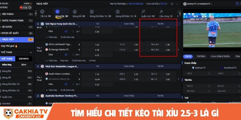Tìm hiểu chi tiết kèo tài xỉu 2.5-3 là gì