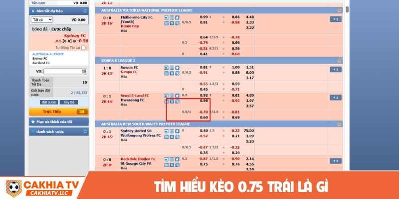 Tìm hiểu kèo 0.75 trái là gì