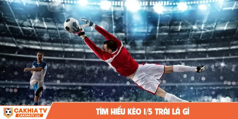 Tìm hiểu kèo 1/5 trái là gì