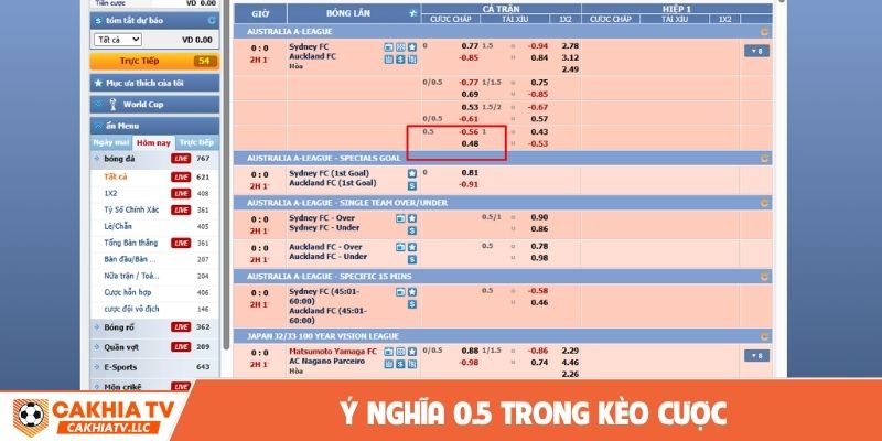 Ý nghĩa 0.5 trong kèo cược